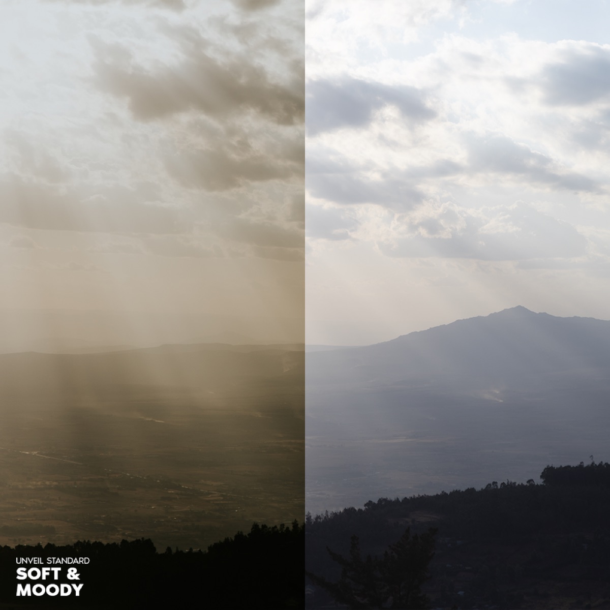 Standard Preset Pack, view 4